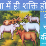 शेर और चार गाय की hindi kahani
